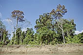 Canoe journey down the rivers of the Madre de Dios department in the Manu reserve